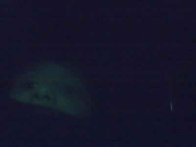 ethan_hackster9's profile picture. 