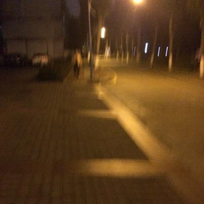 sakurawinds's profile picture. 