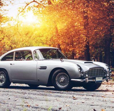Enter the wonderful world of automobiles