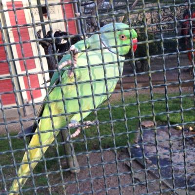 alb_rina's profile picture. Ici l'original fuck mes copie dans tes yeux reeeeh !!