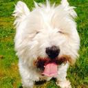 maggie grant - @GrantMaggie854 - Twitter