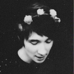 free follow from @dansinotonifre, follow me on there if you want ♡