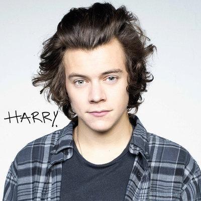 free follows via @harryhotspot she follows back!