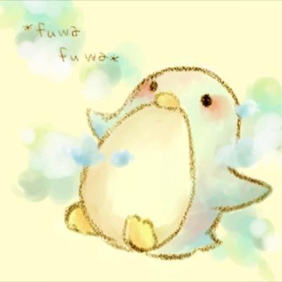 20↑ジャンプ作品、ポケモン、乙女ゲーム、テイルズ好きです！乙女ゲームはクインロゼオトメイトハイキューは田中受け推してます！ワードリも好き！