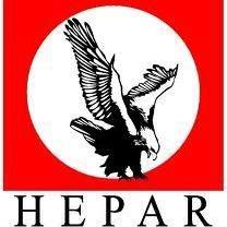 400biniibfli1's profile picture. 