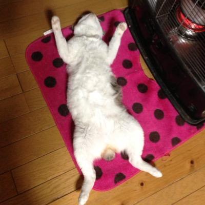 IKITERU!!ㅠㅁㅠ