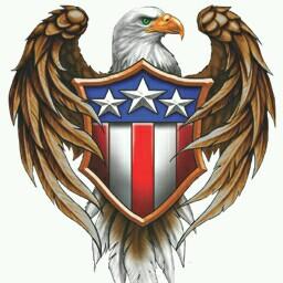 Selling twitter eagles (accounts).
