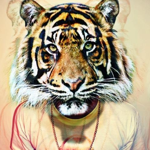 Msp_ItzCole's profile picture. 15. вєуραтн. мα