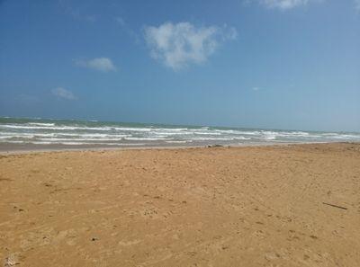 ♥ESL teacher, music, animals & nature lover, fan of white sandy beaches ☀ & just enjoying the most of life!