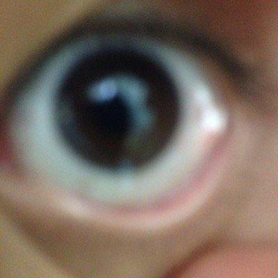 とある垢の新生垢です