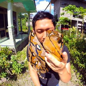 bayugbr's profile image
