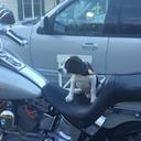 Larry Keeter - @trucker407 - Twitter