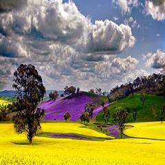 asghar470423191's profile picture. 