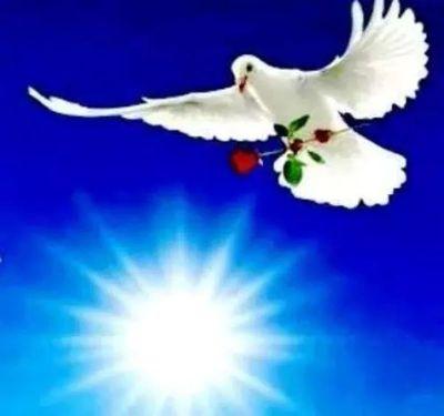 ‏كاتب وشاعر ومدرب دولي تنمية بشرية