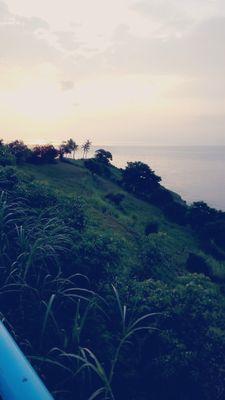 Fk981Fur's profile picture. 