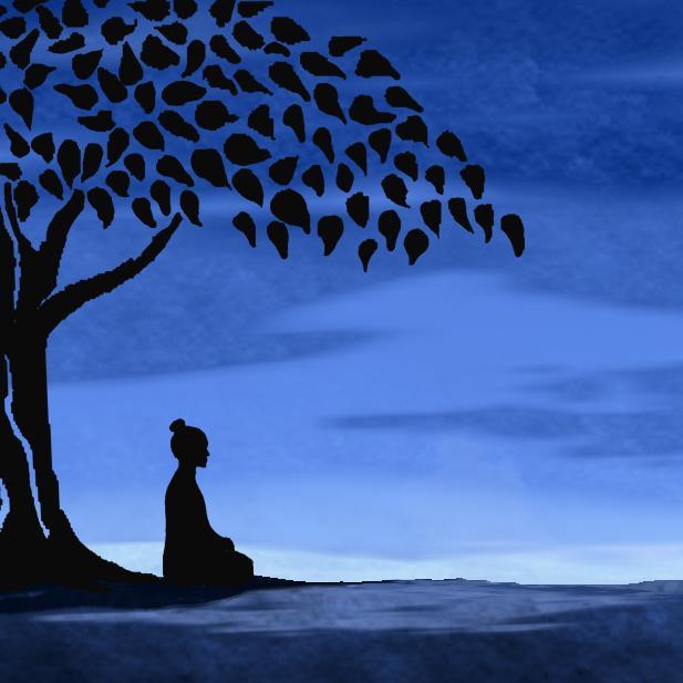 awaitingstill's profile picture. Couple just exploring and learning about new things for now...