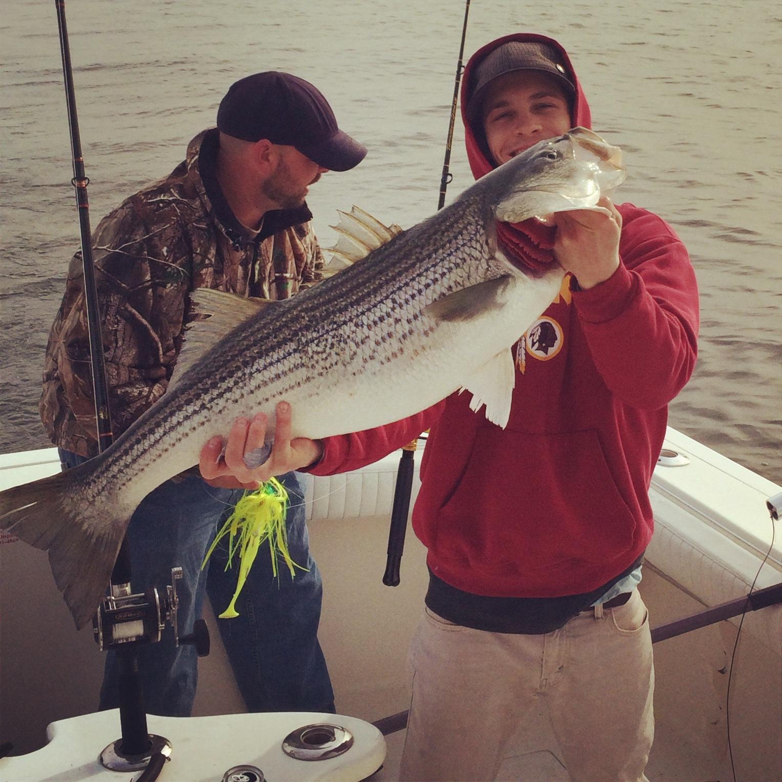 kinedub's profile picture. ...all day