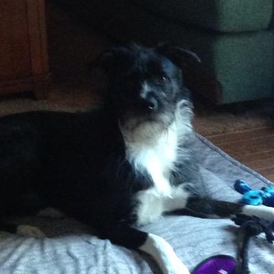 lilypad2013's profile picture. 