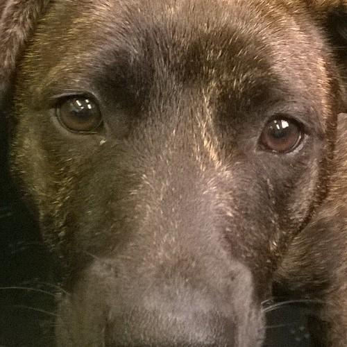 5n0wD06's profile picture. 