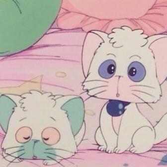 最近全力おじさんしてます。
ゆっかりーん！