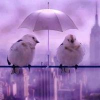 🔻aabd70🔻 (@aabd70) 's Twitter Profile