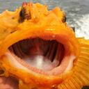 Eric Reed Lorentzen - @randomfishboy - Twitter