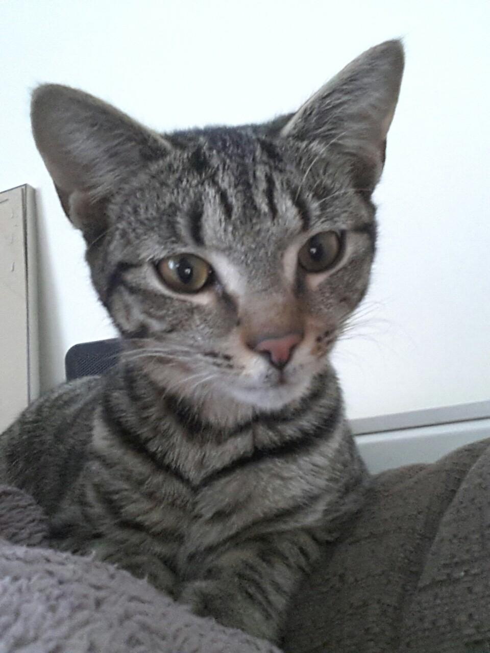 ColdwellRachael's profile picture. 