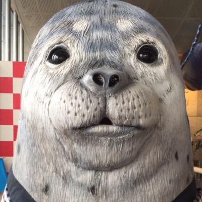 ぼつこんやってます！初心者です！