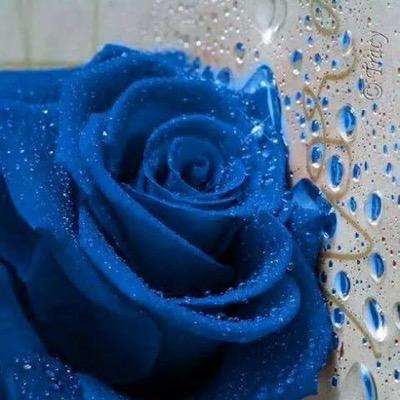 مخالفتى لك فى الرأى لا تعنى بأنى عدو لك