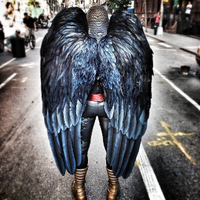 Birdman Movie (@birdmanthemovie) 's Twitter Profile