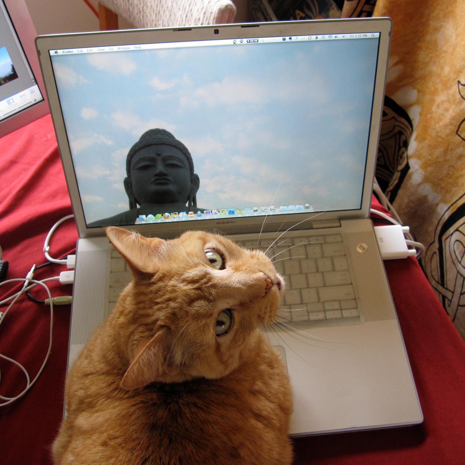 technewgirl's profile picture. Just a girl learning to code