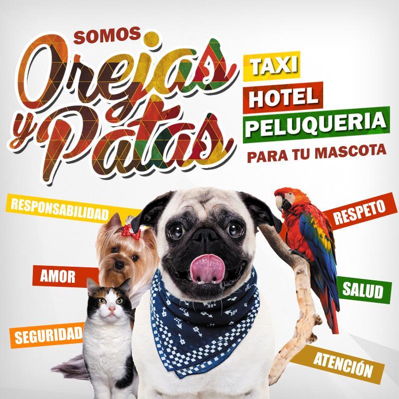 Servicio de transporte hospedaje y peluqueria canina y felina, reserva tu cupo para Semana santa desde ya, se agotan. Solo pequeños peluditos.