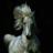 roger1811's profile image