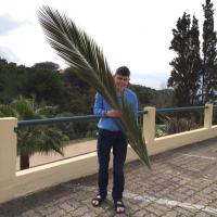 Sam Willacy (@samwillacy) 's Twitter Profile