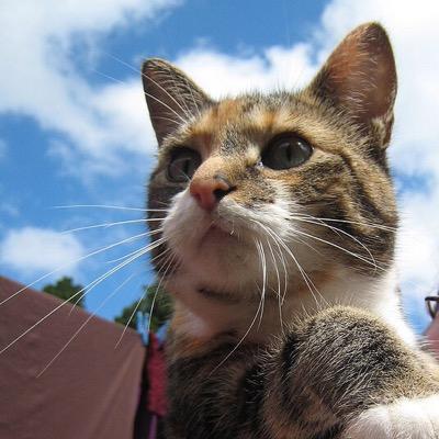 chisamiさんのプロフィール画像