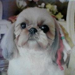 fkmdb770's profile picture. 旅人