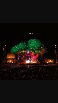 成人済み 杉田智和さんが好き その他色々な声優さん好き 艦これ  実況TL汚し FRBご自由に