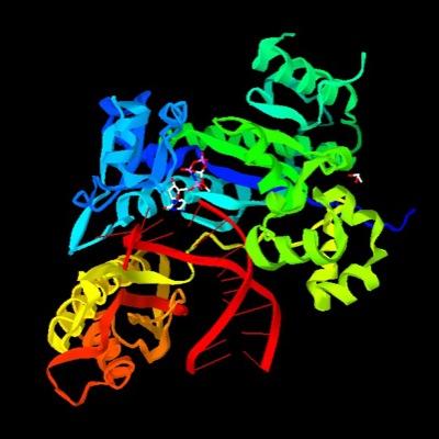 Biology/Life science/Biochemistry/Molecular Biology/主に勉強用/※正しいとは限りません