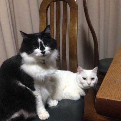 tkmhkr_cpa's profile picture. H27短答Ⅰ合格→H27論文×→H28論文合格目指して勉強中/LEC/日商1級/全経上級/税理士簿記/講座→通学and通信、答練→通学/水道橋/無言フォローすみません