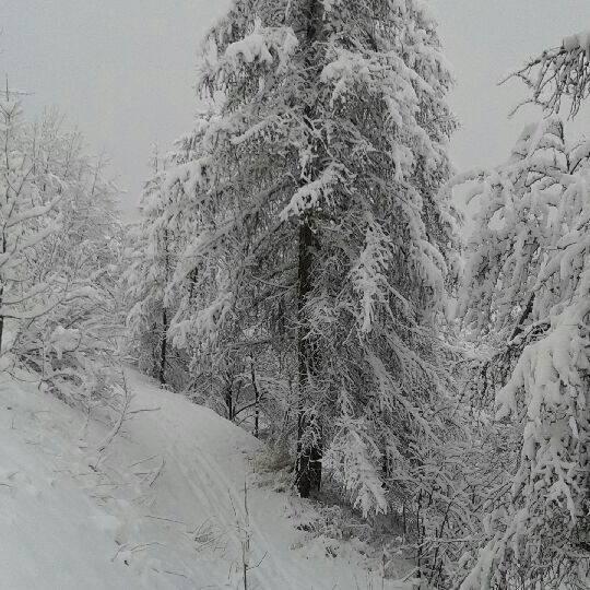 Micky_lkf_77's profile picture. 