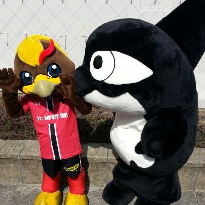 サッカー大好き😍Jリーグ大好き😍
ツエサポ歴11年&グラサポ歴17年😊
兼任+個サポ歴あり+アカデミー激推しなので、うるさかったらミュートよりもリム推奨。
無言フォローOKです。こちらも基本無言です笑
RP中心の方はフォローしていませんのでごめんなさい。(_ _*)