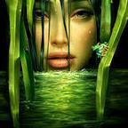 OlgaRengolga's profile picture. 