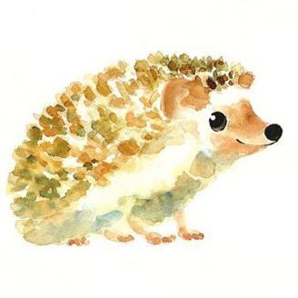 ski4ever5's profile picture. 