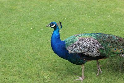 themayline's profile picture. 