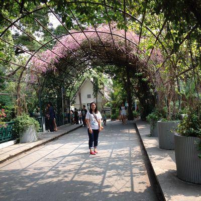 音楽が好きだったり映画が好きだったり旅行が好きだったり ファッション大好きだったり 。 気ままに色々書いてます！ｗ