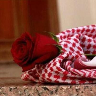 ‏‏‏‏‏‏‏‏‏‏‏‏‏‏‏‏‏‏‏‏《مسلسل ¡الرومنسي يالبا الي متربي اسمي¡عبدالله》