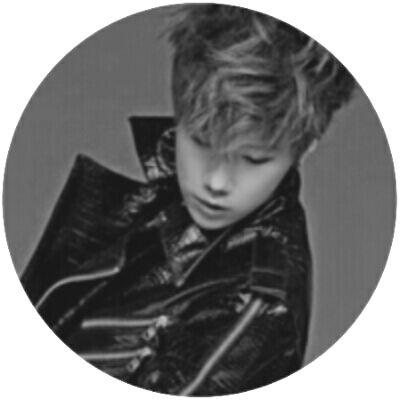 mochimochigyu Profile Picture