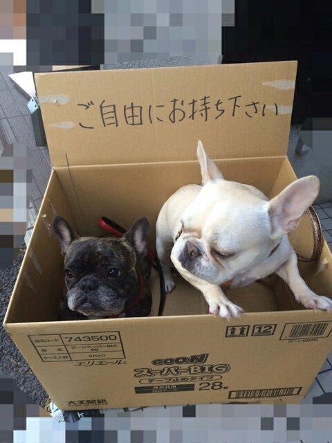 湘南乃風ＦＣ会員 風乃軍団 2年後のためにお金貯める。
