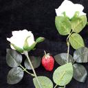 Grace Goncalves - @8faa34e9082941c - Twitter