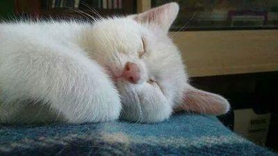 konstantinakou9's profile picture. 